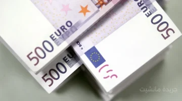 تطور جديد.. سعر اليورو مقابل الدينار الجزائري اليوم في البنك والسكوار يخالف التوقعات 2